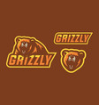grizzly mascot logo design vector image vector image