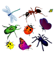 bugs and insects vector image