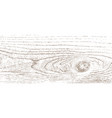 knotted wood texture vector image vector image