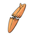broken surfing board design element for poster vector image