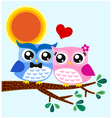 owl couple in love vector image