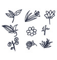 hand drawn doodle twigs leaves and flowers vector image