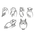 owl bird icons in doodle outline style vector image