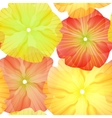 seamless primula flowers pattern vector image vector image