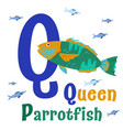 sea animals alphabet abc for children letter q vector image