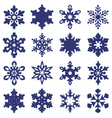 snowflakes vector image