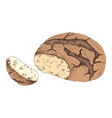 bakery product sketch bread on white background vector image vector image