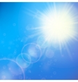 sun with lens flare template vector image