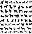 dog silhouettes vector image