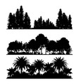 silhouettes of the forest vector image vector image