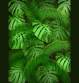 summer tropical leaf background vector image