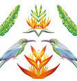 mirror birds tropical flowers and leaves white vector image vector image