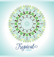 floral mandala vector image