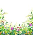 colorful frame with summer meadow plants vector image