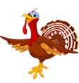 cartoon turkey vector image