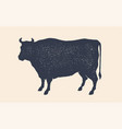 cow silhouette vintage retro print vector image vector image