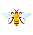 stylized bee icon for food vector image