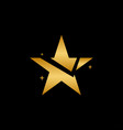 star logo and icon design template vector image