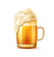 realistic beer glass mug lager ale vector image