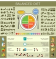 healthy eating infographic vector image