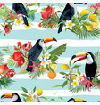 tropical fruits flowers and toucan background vector image
