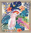 parrot abstract color tropical pattern frame vector image