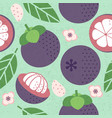seamless pattern red mangosteen leaves flowers vector image