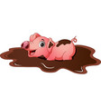 cute pig cartoon in the mud vector image