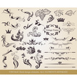 collection of floral elements vector image