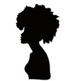 portrait african women dark skin female face vector image