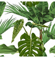 tropical green monstera leaf vector image vector image