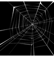 spider web background vector image