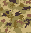 camouflage pattern vector image