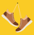 brown shoes hang on laces vector image
