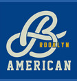 brooklyn american vector image vector image