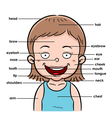 vocabulary part vector image