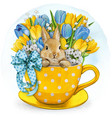 watercolor hand drawn cute bunny in a tea cup vector image vector image