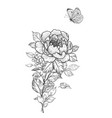 hand drawn peony flower and flying butterfly vector image vector image