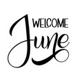 hello june lettering vector image
