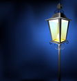 old vintage street lamp in the dark vector image vector image