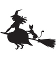 witch and cat vector image