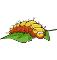 Cute caterpillar cartoon Royalty Free Vector Image