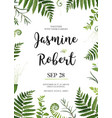 floral design card green fern forest leaves herb vector image vector image