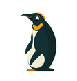 cartoon penguin in flat style vector image vector image