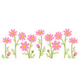 drawing garden flowers cosmos vector image vector image