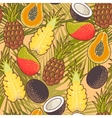seamless exotic fruit vector image