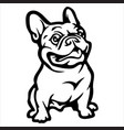 cute dogs annimal drawing bulldog cartoon vector image vector image