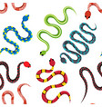 colored exotic snakes pattern dangerous snakes vector image vector image