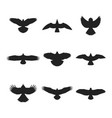 flying bird silhouettes set vector image