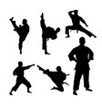 martial arts silhouette set vector image